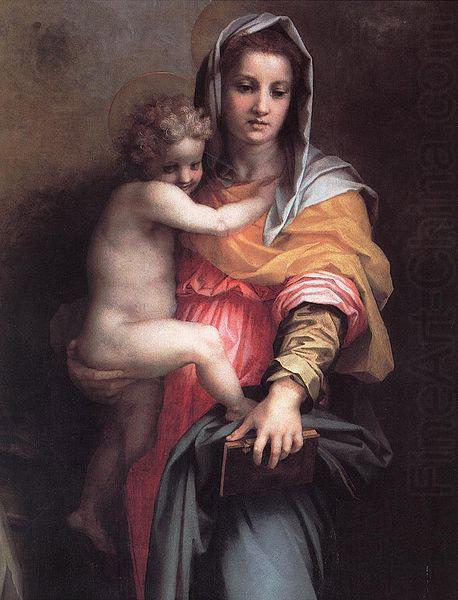 Andrea del Sarto Madonna of the Harpies china oil painting image